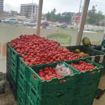 Etiketsiz Ürünler Ve İlgisiz Personel Nedeniyle Olumsuz Alışveriş Deneyimi