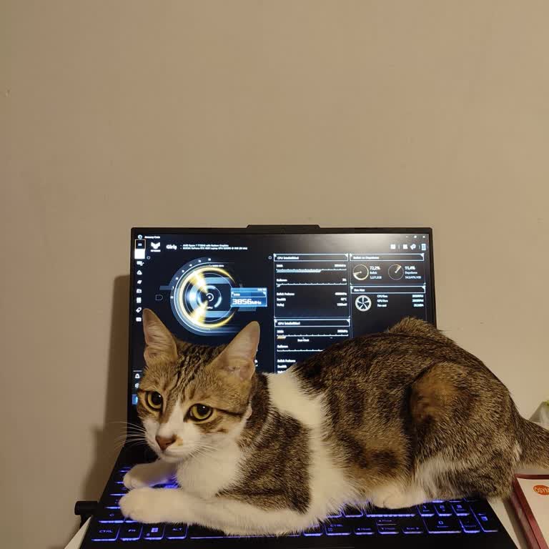 Servis Sonrası Bilgisayarım Hasarlı Teslim Edildi, Mağduriyetim Giderilmedi
