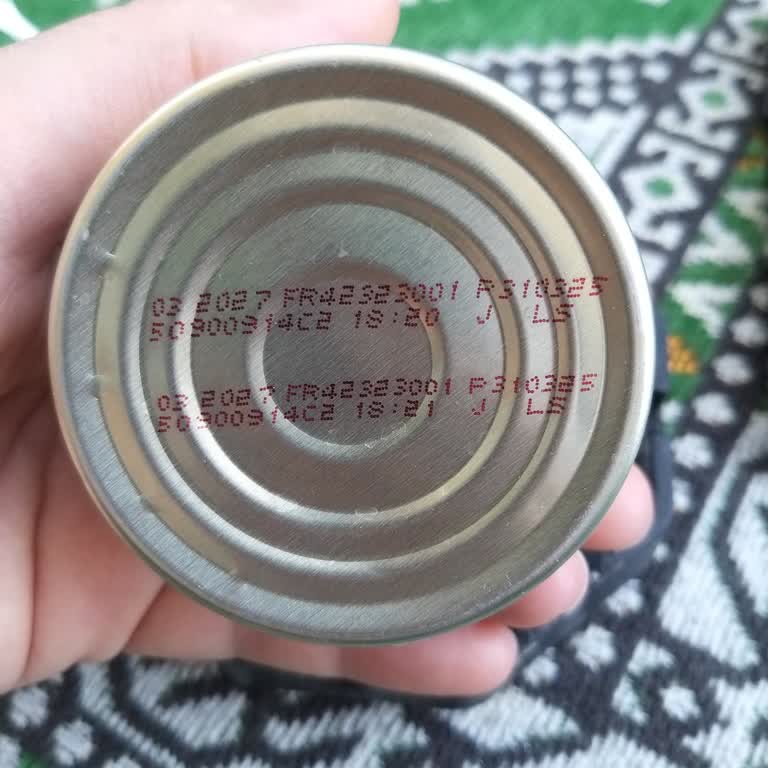 Nestle Purina Petcare Gourmet Yaş Mama Kedimde Ciddi Sağlık Sorunlarına Yol Açtı