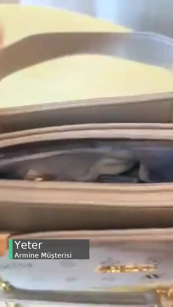 Armine Çanta Vidaları Düştü videonun kapak resmi