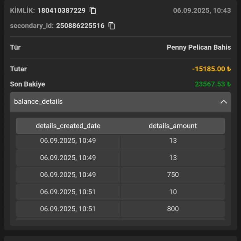 Hesabım Ele Geçirildi, Bakiyem İzinsiz Olarak Sıfırlandı