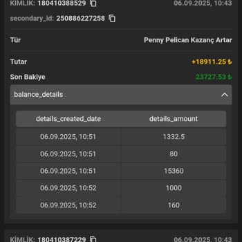 Hesabım Ele Geçirildi, Bakiyem İzinsiz Olarak Sıfırlandı