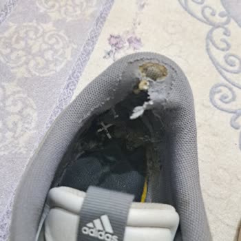 Kısa Sürede Aşınan Adidas Sneaker İçin Garanti Mağduriyeti