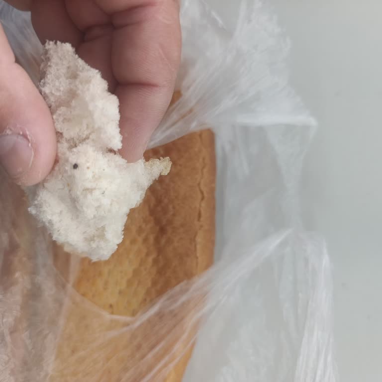 Aldığım Ekmeğin İçinden Böcek Çıktı, Çözüm Yetersiz Kaldı