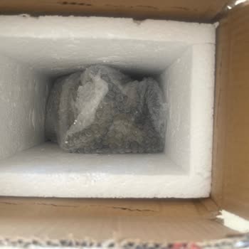 Kırık Ürün Teslimatı Ve Tazmin Sürecinde Yaşanan Sorun