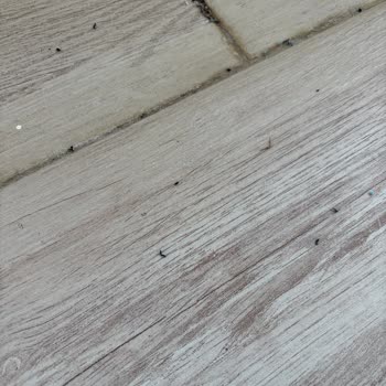 Bornozda Sürekli Pamuklanma Ve İade Talebine Olumsuz Yanıt