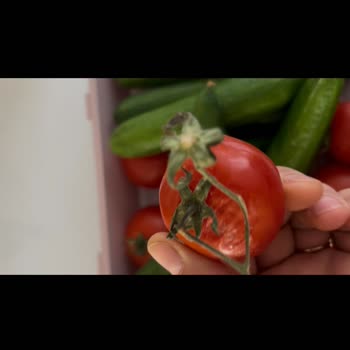 Yeni Buzdolabı Sebzeleri Çürütüyor Servis Çözüm Sunmuyor