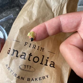 Poğaçadan Taş Çıkması Ve İletişimsizlik Mağduriyeti