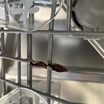 Bulaşık Makinesi Sepetinde Erken Paslanma Ve Sağlık Endişesi