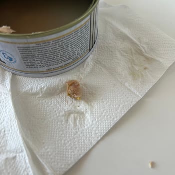 Ton Balığında Kılçık Çıktı Ağzıma Battı Mağduriyet Yaşadım