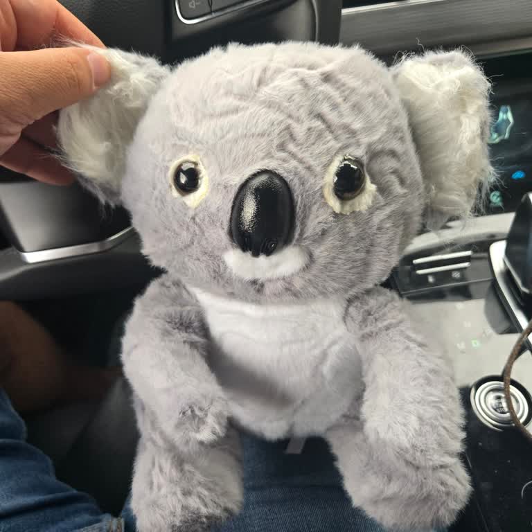 Görseldekiyle Alakasız Ve Hareketsiz Koala Gönderildi