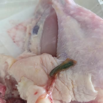 Migros'tan Aldığım Tavuk Bozuk Çıktı, İade Ve Geri Dönüş Bekliyorum