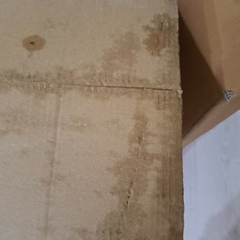 Kargo Apartman Girişine Bırakıldı, Ürünler Islak Ve Hasarlı Teslim Edildi