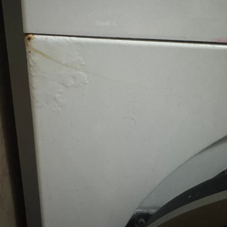 Bosch Çamaşır Makinesi Garanti Sonrası Kısa Sürede Çürüme Ve Yetersiz Destek