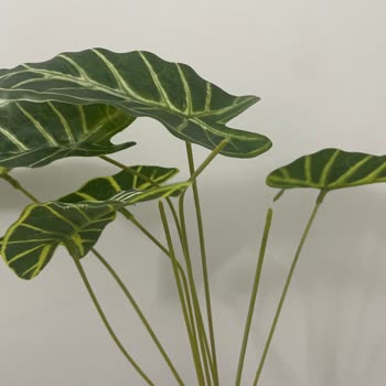 Mağaza Yöneticisi Onaylı İade Talebimi Reddetti Mağdur Oldum