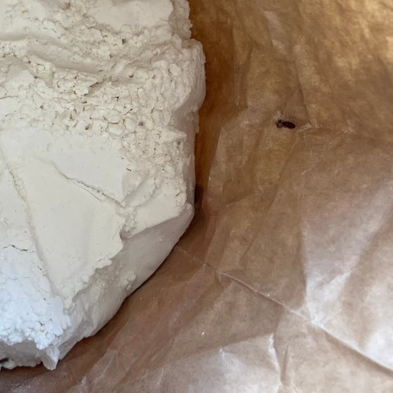 Oba Makarna Üründe Böceklenme Sorunu!