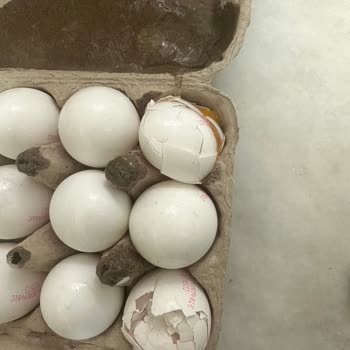 Kırık Yumurta, Çürük Sebzeler Ve Yetersiz Destekle Büyük Mağduriyet