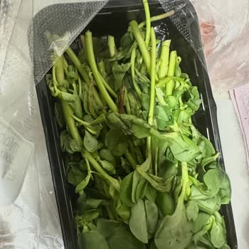 Kırık Yumurta, Çürük Sebzeler Ve Yetersiz Destekle Büyük Mağduriyet