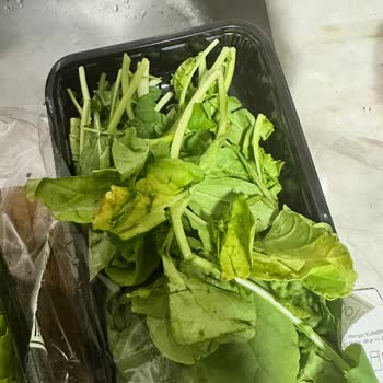 Kırık Yumurta, Çürük Sebzeler Ve Yetersiz Destekle Büyük Mağduriyet