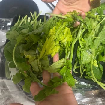 Kırık Yumurta, Çürük Sebzeler Ve Yetersiz Destekle Büyük Mağduriyet