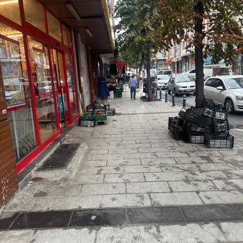Şok Market Şubesinde Süregelen Çevre Kirliliği Ve İhmal