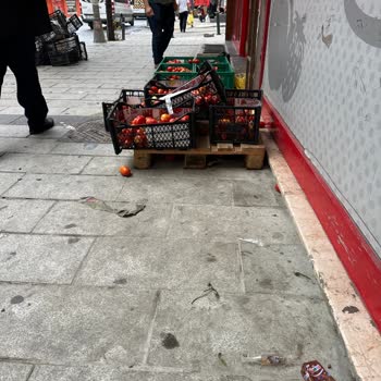 Şok Market Şubesinde Süregelen Çevre Kirliliği Ve İhmal