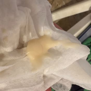 Hipp Sütlaç Ürününde İki Farklı Pakette Kıl Çıkması Hijyen Endişesi Yarattı