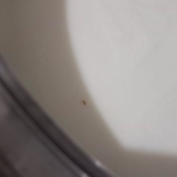 Nuh’un Ankara Makarnası’nda Tekrarlayan Kurt Şoku: Güvenim Kalmadı