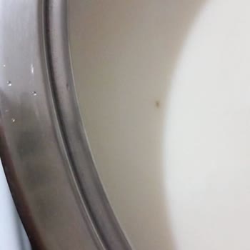 Nuh’un Ankara Makarnası’nda Tekrarlayan Kurt Şoku: Güvenim Kalmadı