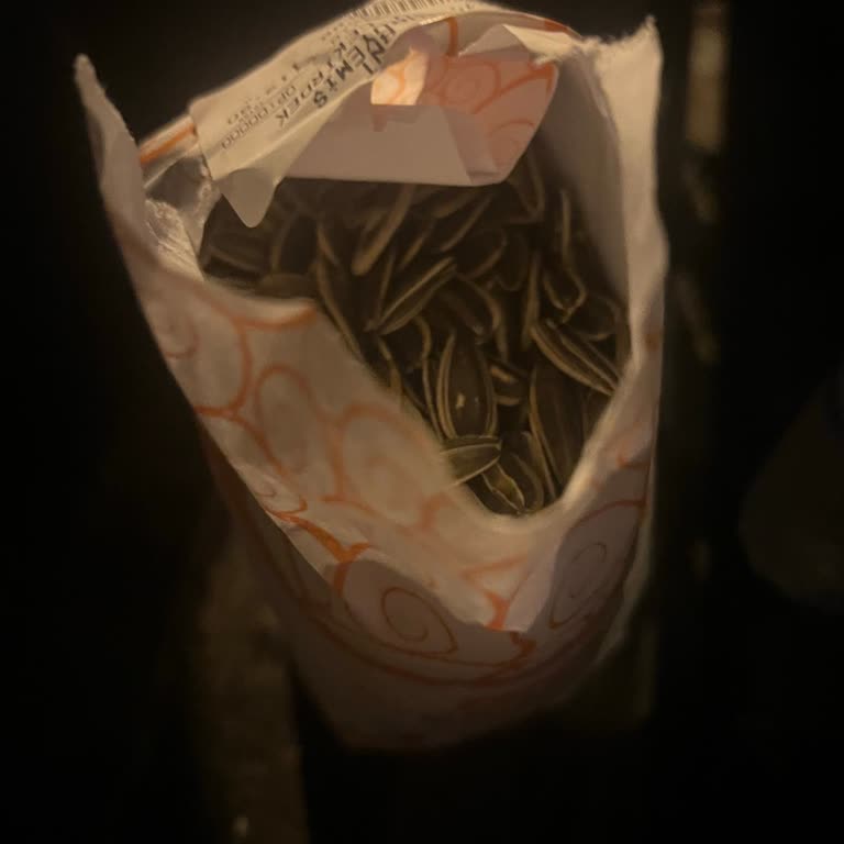 Makbul Evcil Hayvanımla Mağazaya Alınmadım: Ayrımcı Ve Dışlayıcı Davranış