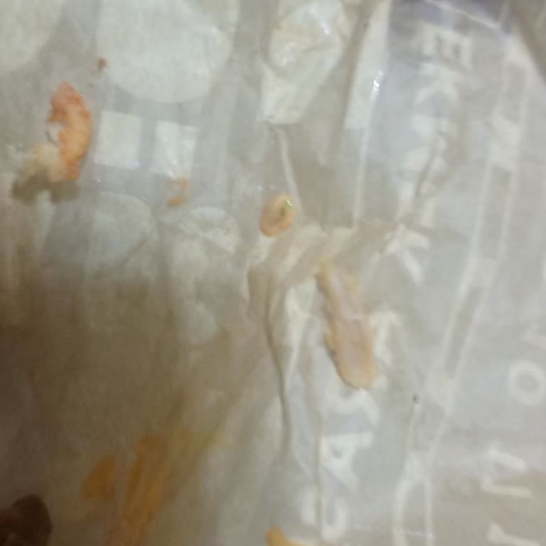 Tavuk Dönerde Kemik Parçası Ve Yetersiz Canlı Destek Deneyimi