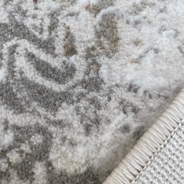 Aldığım Halıdan Sonra Oturma Odamı Pireler Bastı