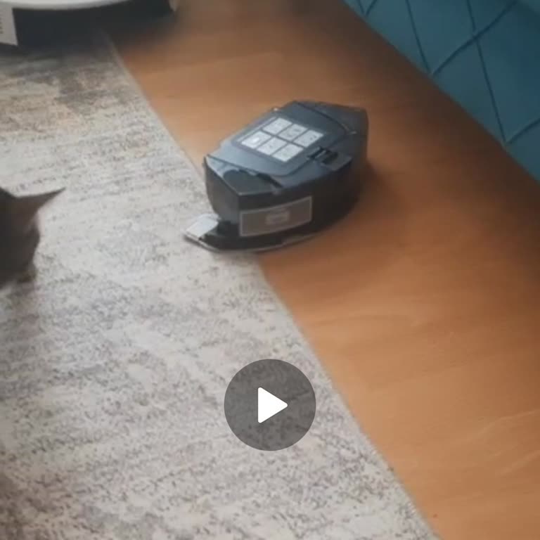 Robot Süpürgenin Hazne Sorunu Ve İade Sürecinde Yaşanan Gecikme Mağduriyeti