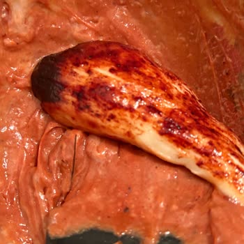 Bozuk Saç Boyası Nedeniyle Para İadesi Talebim