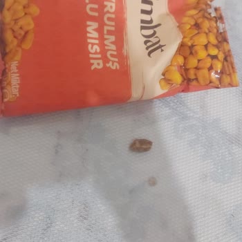 Soslu Mısır Paketinden Çıkan Taş Dişimi Kırıyordu, Acil Açıklama Bekliyorum
