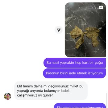 Aldığım Salamura Yapraklar Eski Çıktı, Firma İade Talebime Yanıt Vermedi