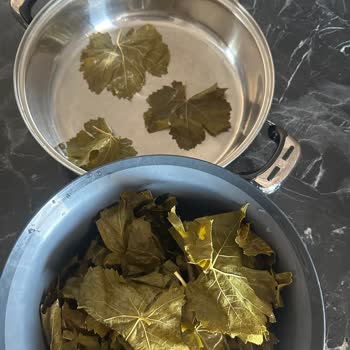 Aldığım Salamura Yapraklar Eski Çıktı, Firma İade Talebime Yanıt Vermedi