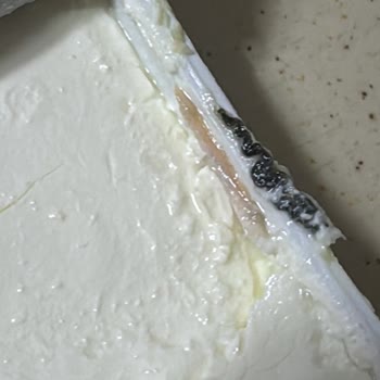 Labne Ürününün İçinde Yabancı Maddeyle Karşılaşmam