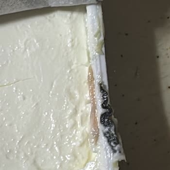 Labne Ürününün İçinde Yabancı Maddeyle Karşılaşmam