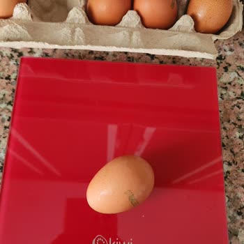 Organik Yumurtalarda Küçük Boyut Ve Kötü Koku Mağduriyeti