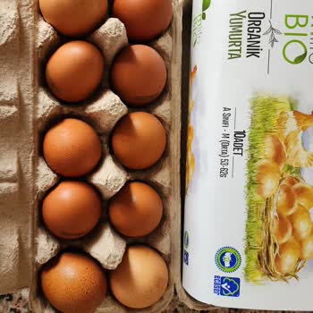 Organik Yumurtalarda Küçük Boyut Ve Kötü Koku Mağduriyeti