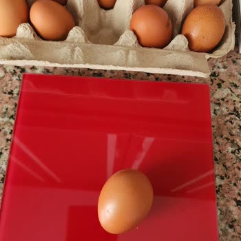 Organik Yumurtalarda Küçük Boyut Ve Kötü Koku Mağduriyeti