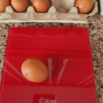 Organik Yumurtalarda Küçük Boyut Ve Kötü Koku Mağduriyeti