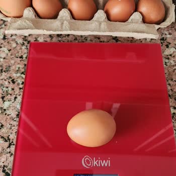 Organik Yumurtalarda Küçük Boyut Ve Kötü Koku Mağduriyeti