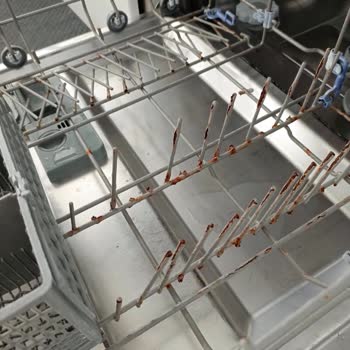 Teka Bulaşık Makinesi Tellerinde Yaygın Paslanma Sorunu Ve Sağlık Endişesi