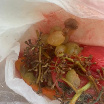 Migros Gel Al Siparişimde Bozuk Ve Yanlış Ürün Teslimatı, Yetersiz Müşteri Hizmeti