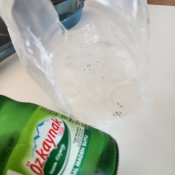 Satın Aldığım Maden Suyunda Ölü Sinekler Çıktı