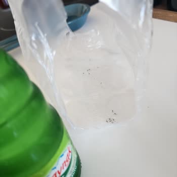 Satın Aldığım Maden Suyunda Ölü Sinekler Çıktı