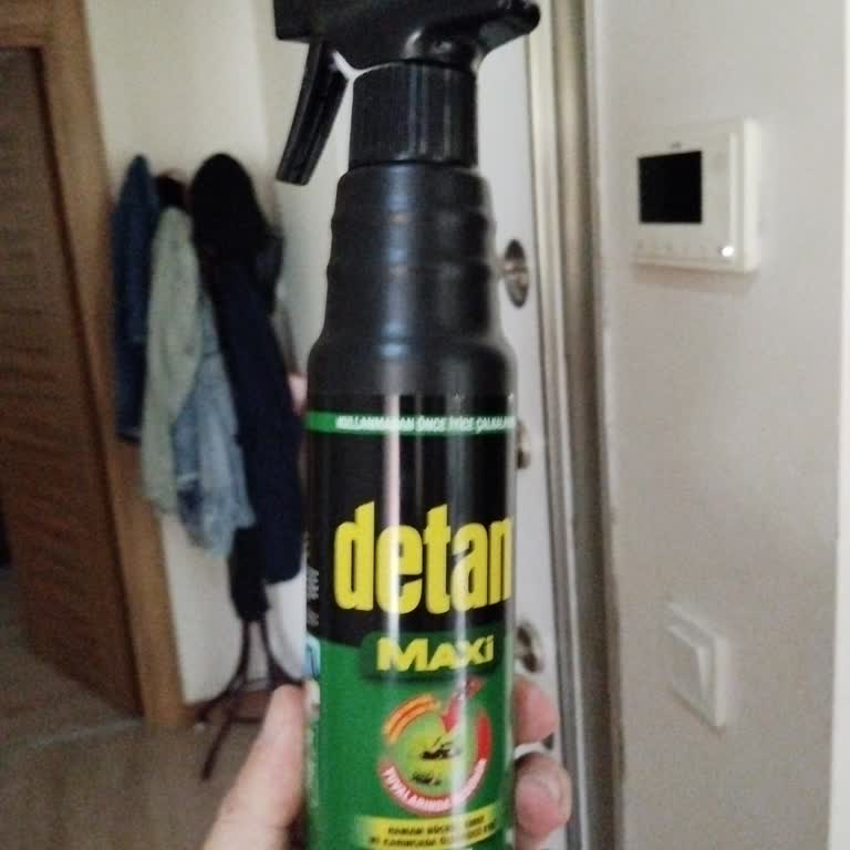 Aldığım Böcek İlacı Sineklere Hiçbir Etki Göstermedi