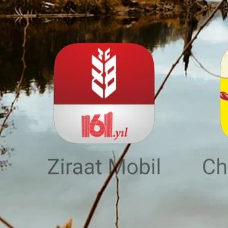 Ziraat Mobil'de Harçlık Avans Özelliği Hesabımdan Kayboldu